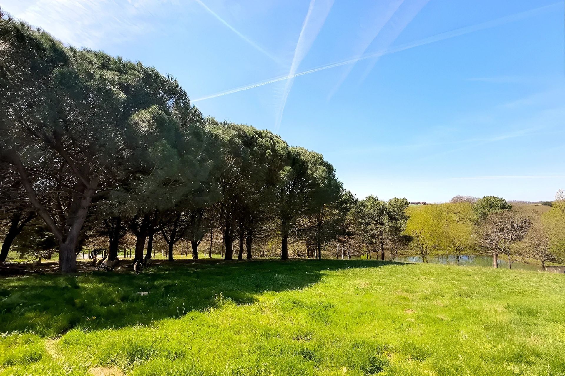 Vente Propriété 10&nbsp;Pièces 347&nbsp;m² Graulhet