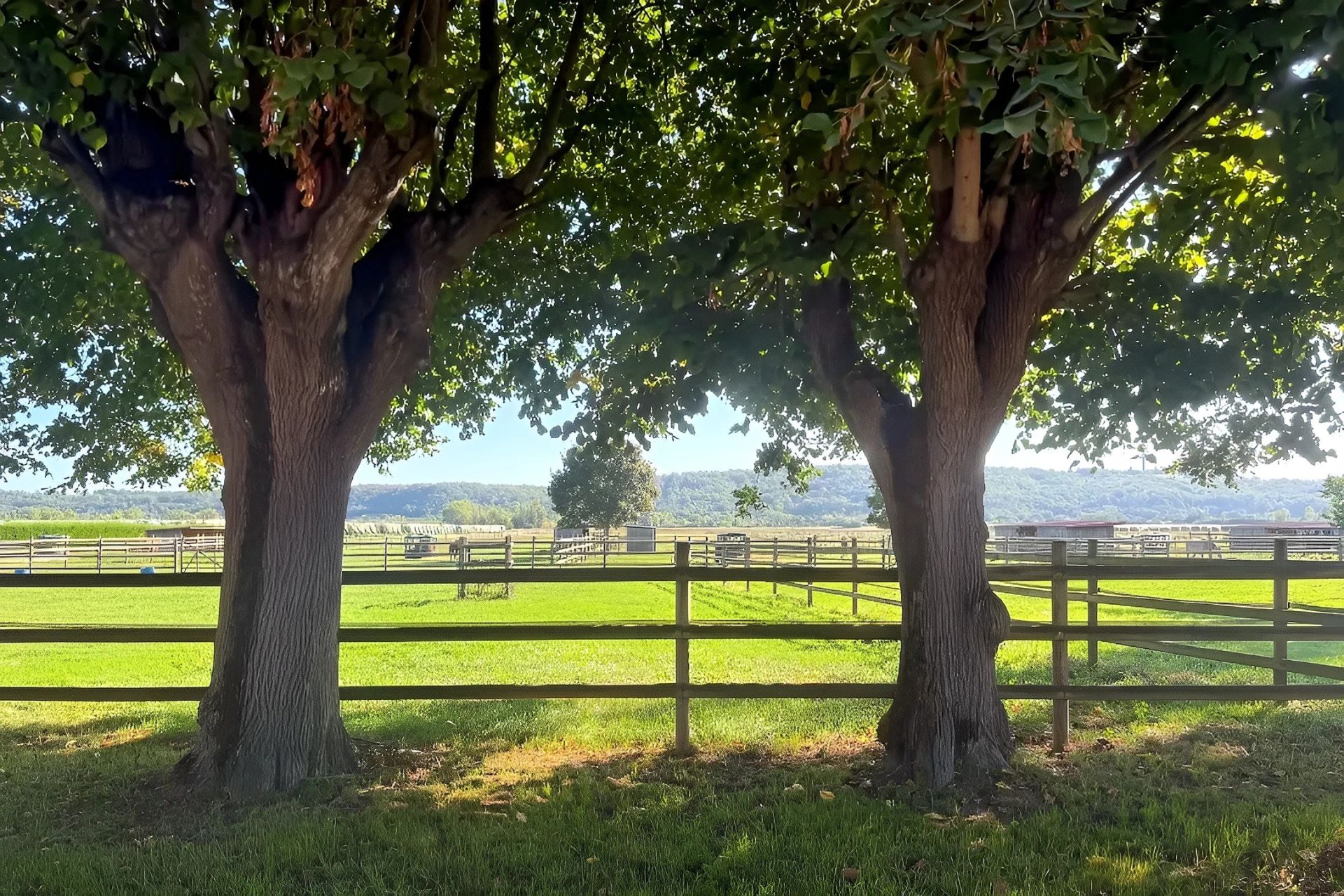 Vente Propriété 11&nbsp;Pièces 549&nbsp;m² Montauban