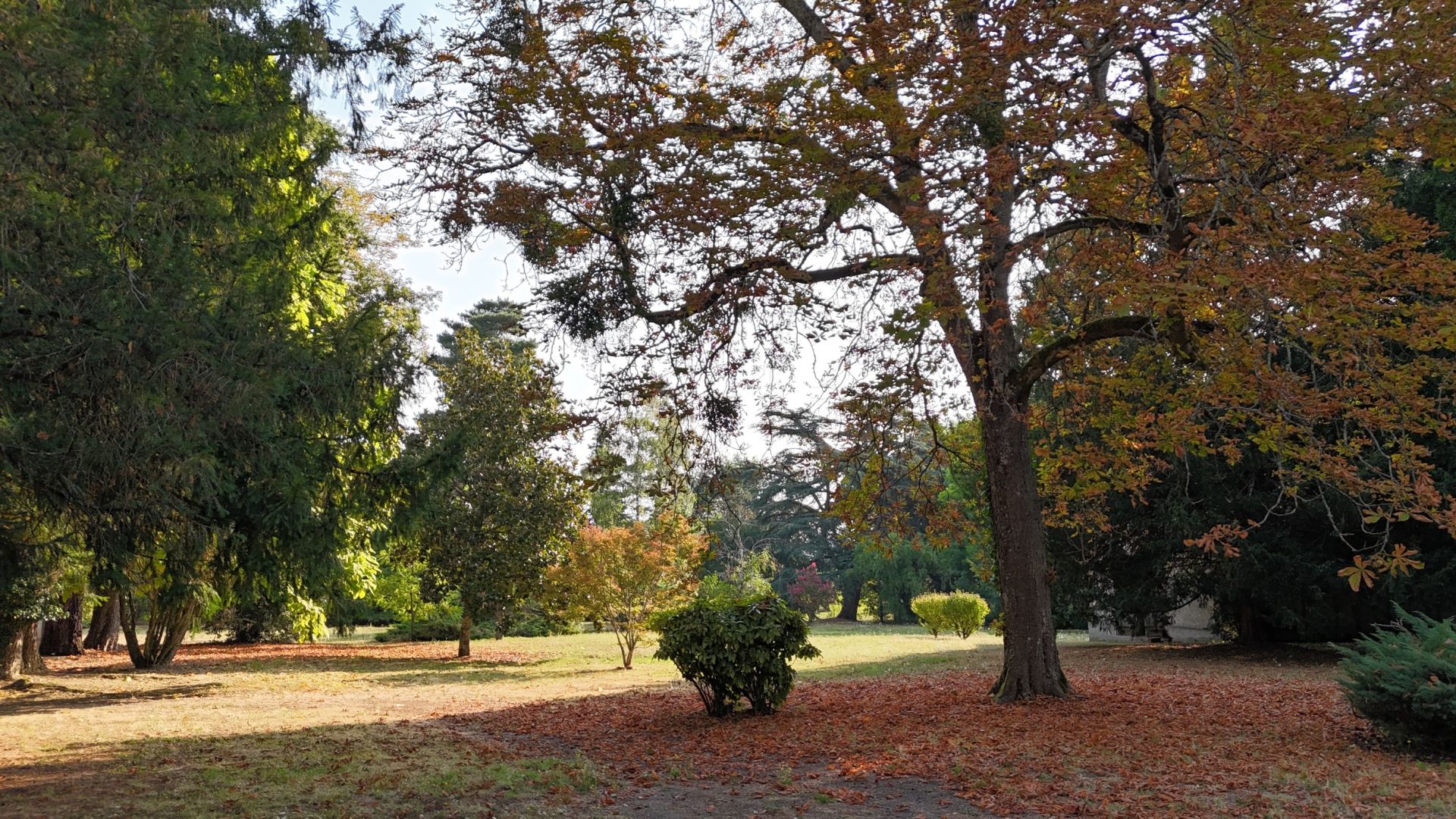 Vente Château 15&nbsp;Pièces 840&nbsp;m² Saint-Nauphary