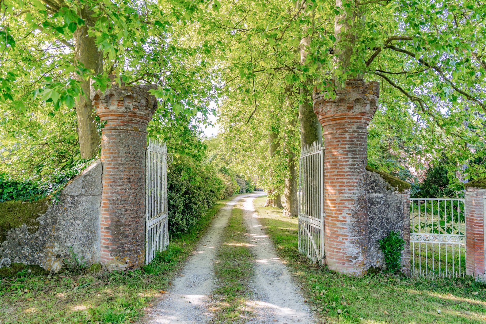 Vente Château 41&nbsp;Pièces 1690&nbsp;m² Caraman