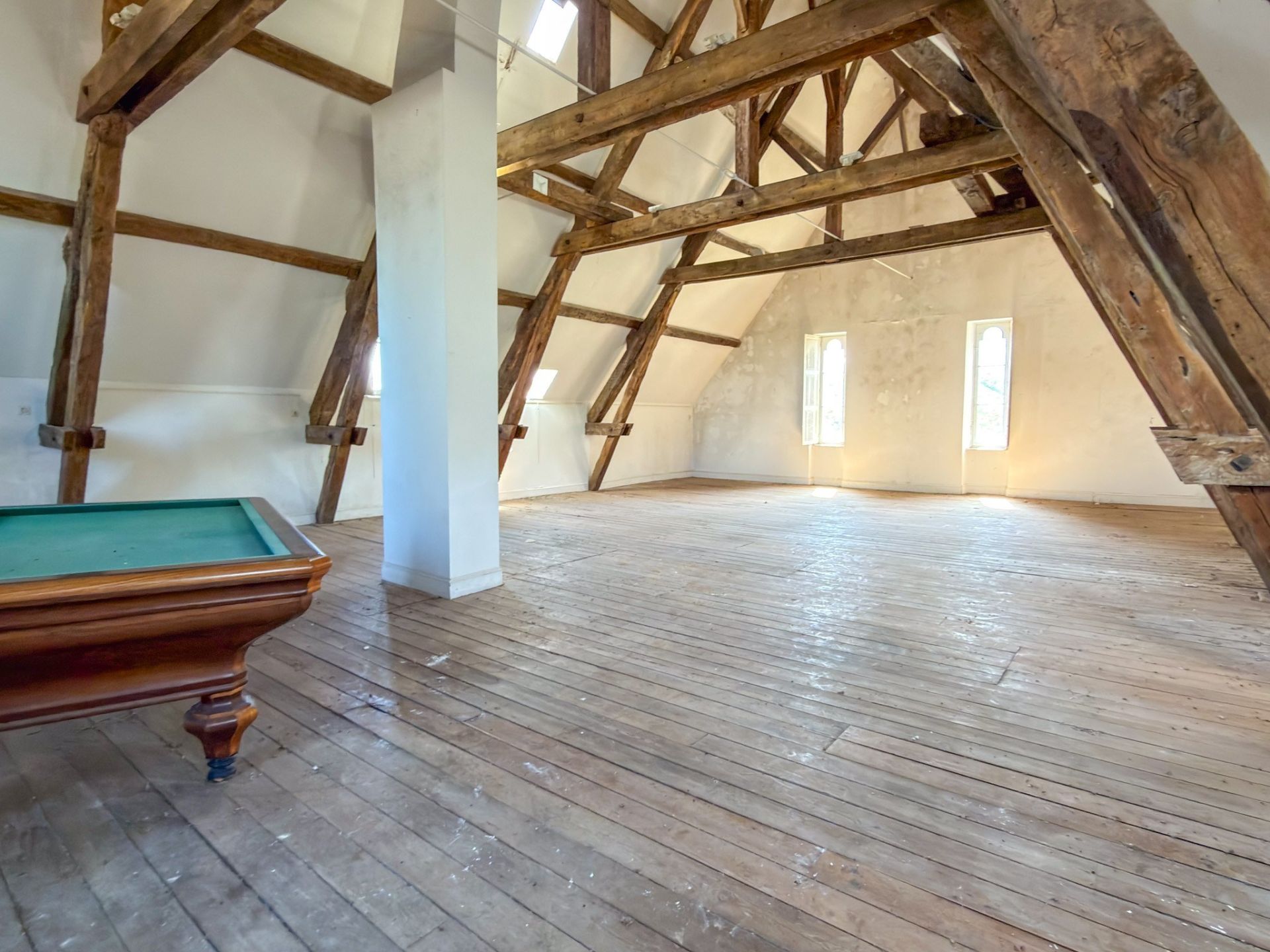 Vente Château 41&nbsp;Pièces 1690&nbsp;m² Caraman