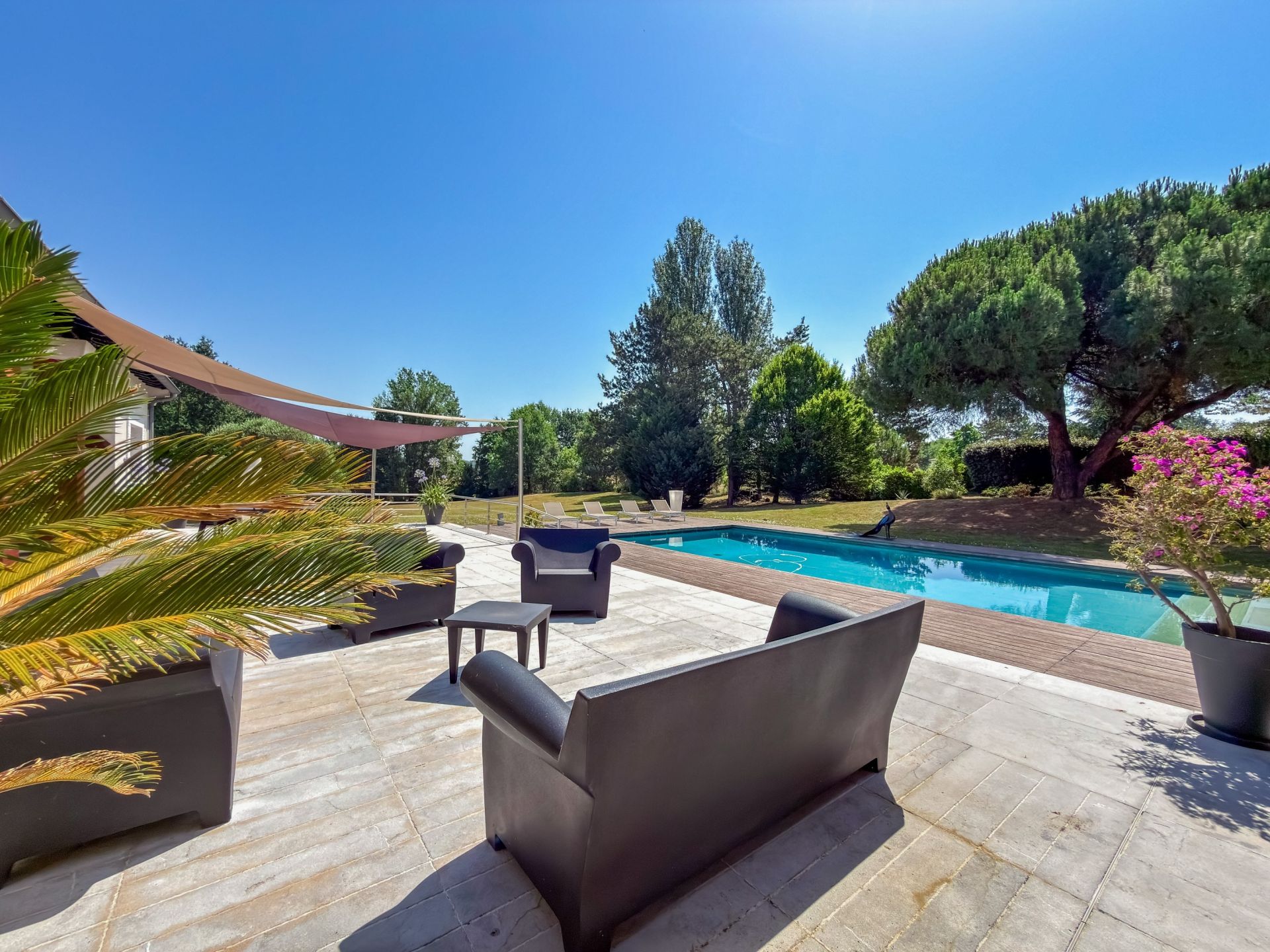 Vente Maison d'architecte 8&nbsp;Pièces 312&nbsp;m² Montauban