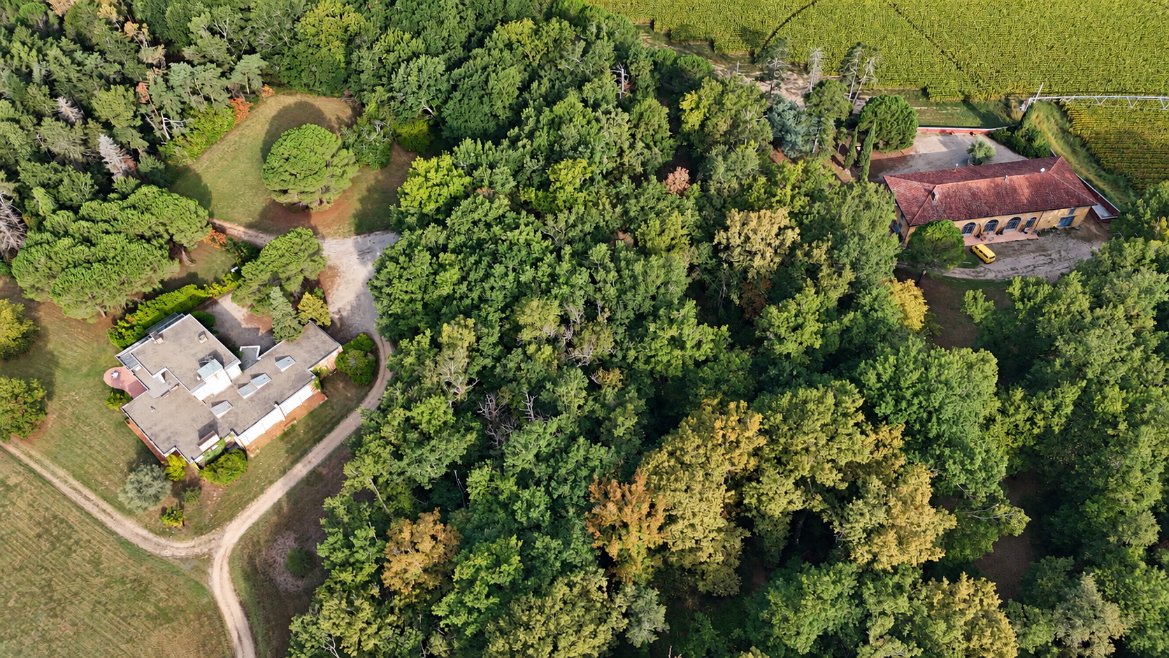 Vente Propriété 17&nbsp;Pièces 683&nbsp;m² Nègrepelisse