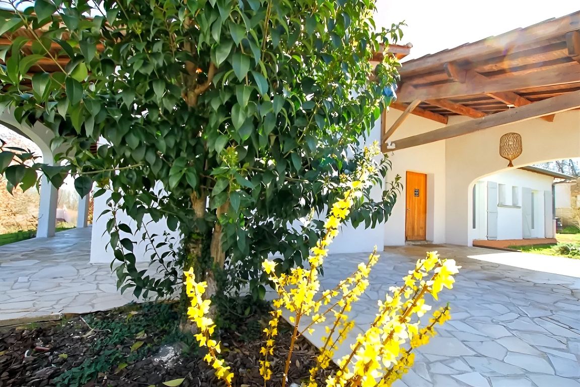 Vente Maison 7 Pièces 210 m² Montauban